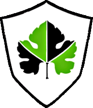 Banco Mendoza