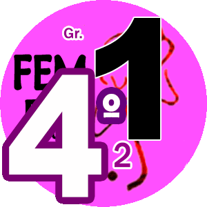4o do Grupo 1 FEM