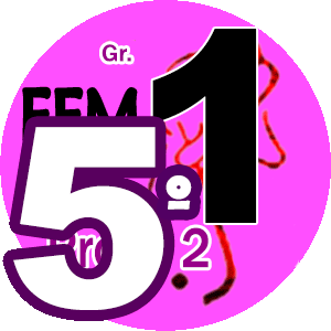 5o do Grupo 1 FEM