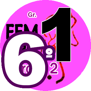 6o do Grupo 1 FEM