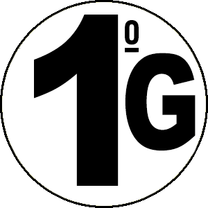 1º GRUPO G