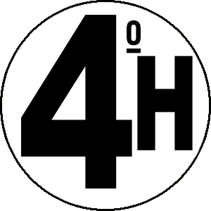 4º GRUPO H