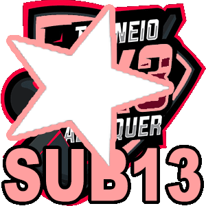 3ALE13 Team JFP SEGUROS S13