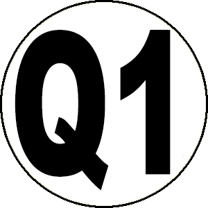 Loser QR 1 WSE CL